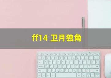 ff14 卫月独角